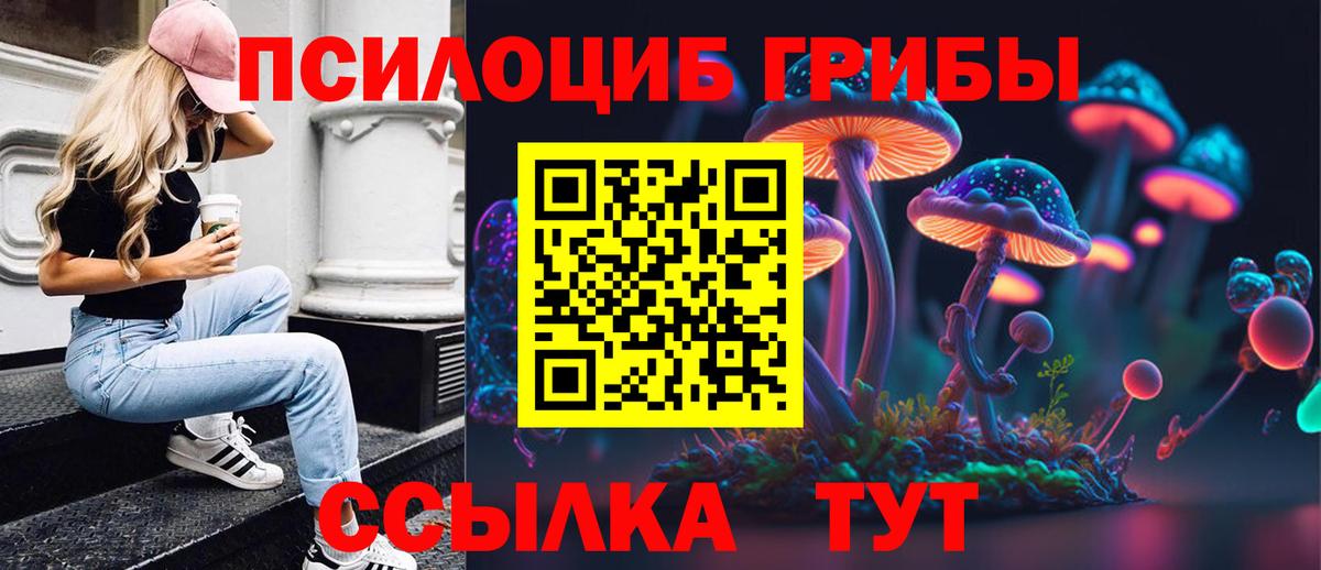 Галлюциногенные грибы Magic Shrooms Советск